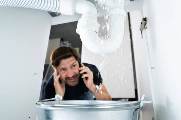 Best Best Plumbers Near Me  in Forest Hills, TN