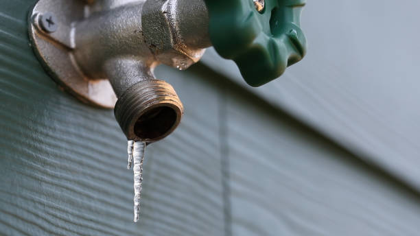 Best Plumbing Inspection Services  in Forest Hills, TN